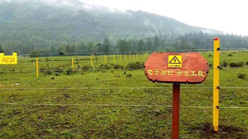 小?？醇译娮訃鷻冢哌M(jìn)新疆喀納斯森林公園